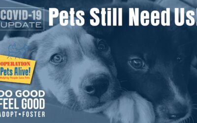 OPA COVID-19 Update: Pets Still Need Us!