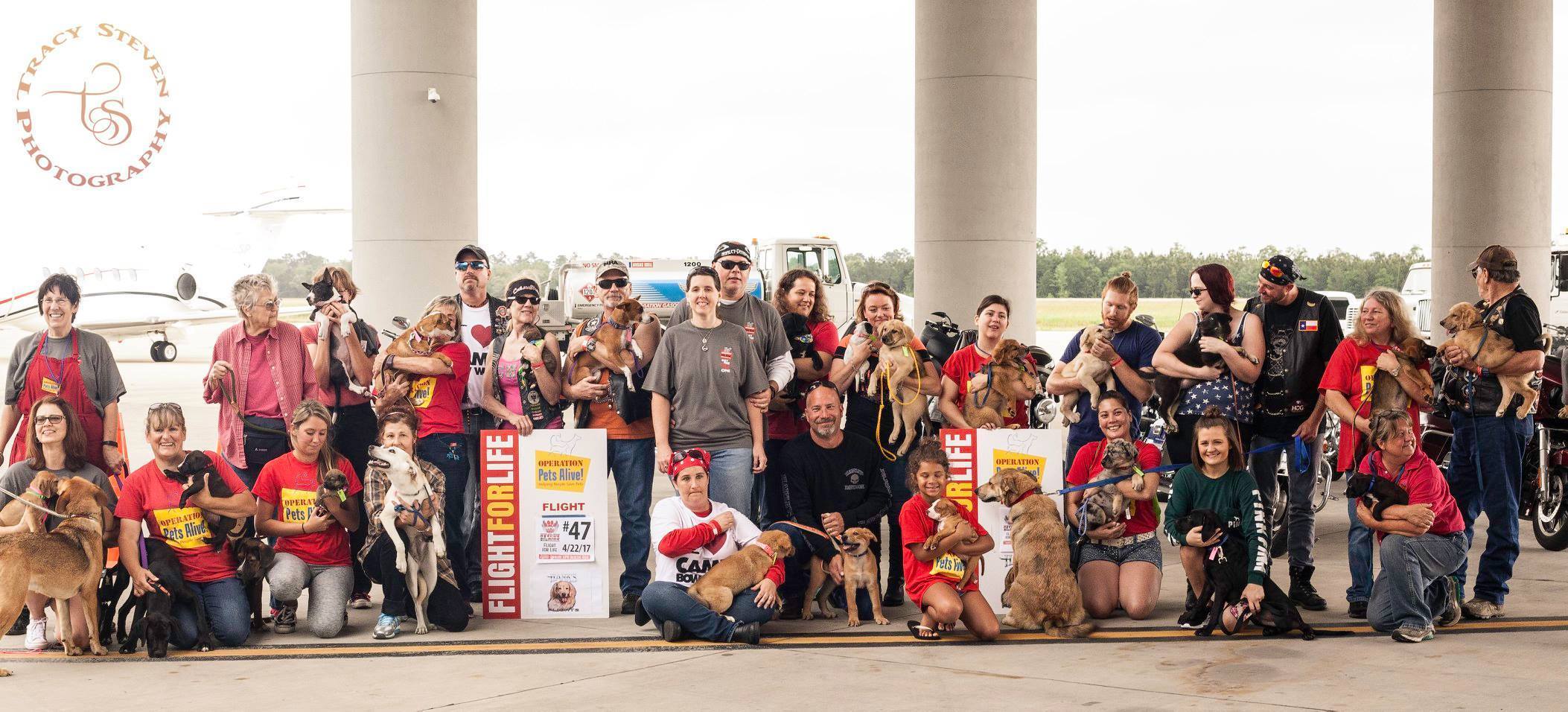 Pet Adoptions At PetSmart Portofino Operation Pets Alive