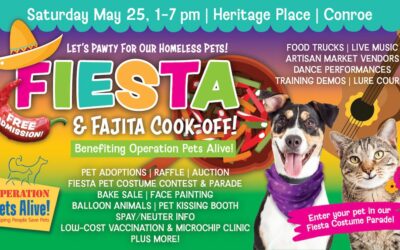 OPA Invites Community to Attend a Fiesta & Fajita Cook-Off!