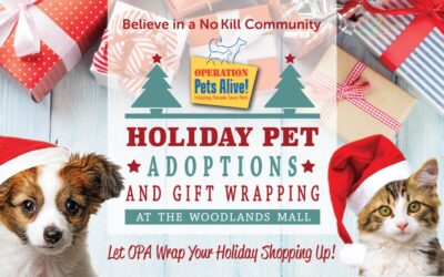 OPA Holiday Pet Adoptions at The Woodlands Mall