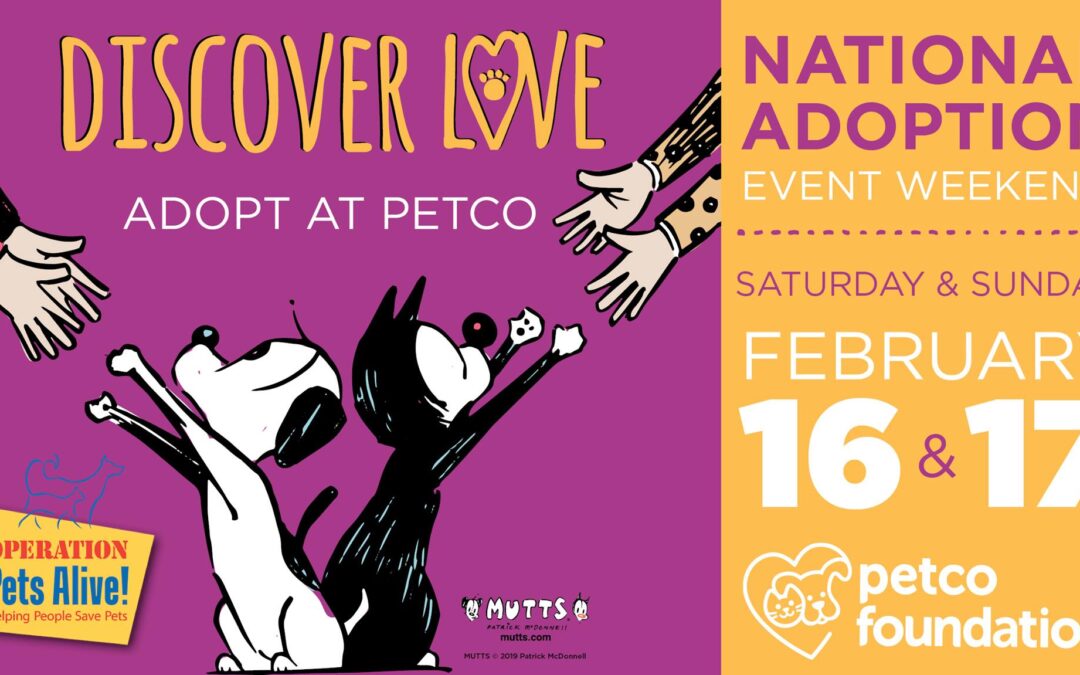 National Adoption Weekend with Petco
