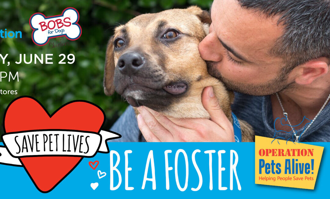 OPA Teams up with Petco to Recruit Fosters
