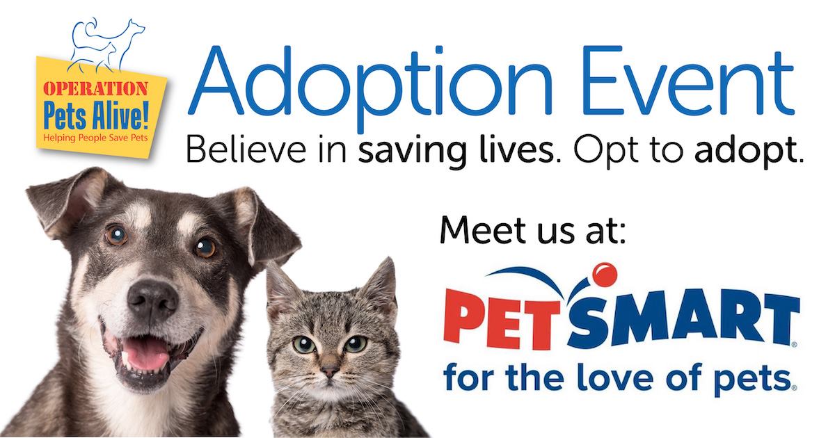Pet Adoptions at PetSmart Portofino Operation Pets Alive