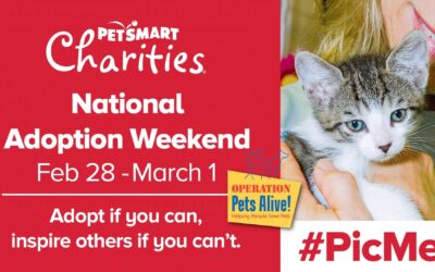 #PicMe! Adopt at PetSmart this Weekend!
