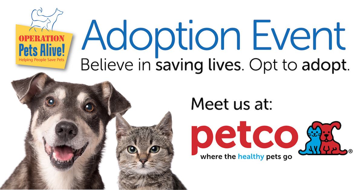 Pet Adoptions at Petco The Woodlands Operation Pets Alive