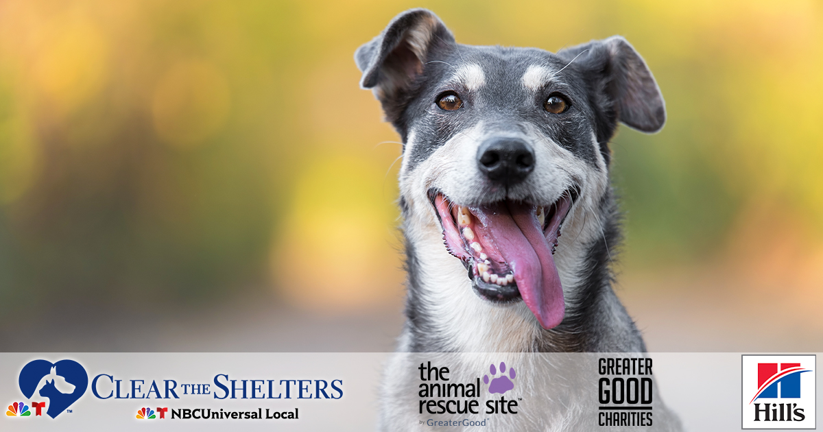 Clear the Shelters! - Operation Pets Alive