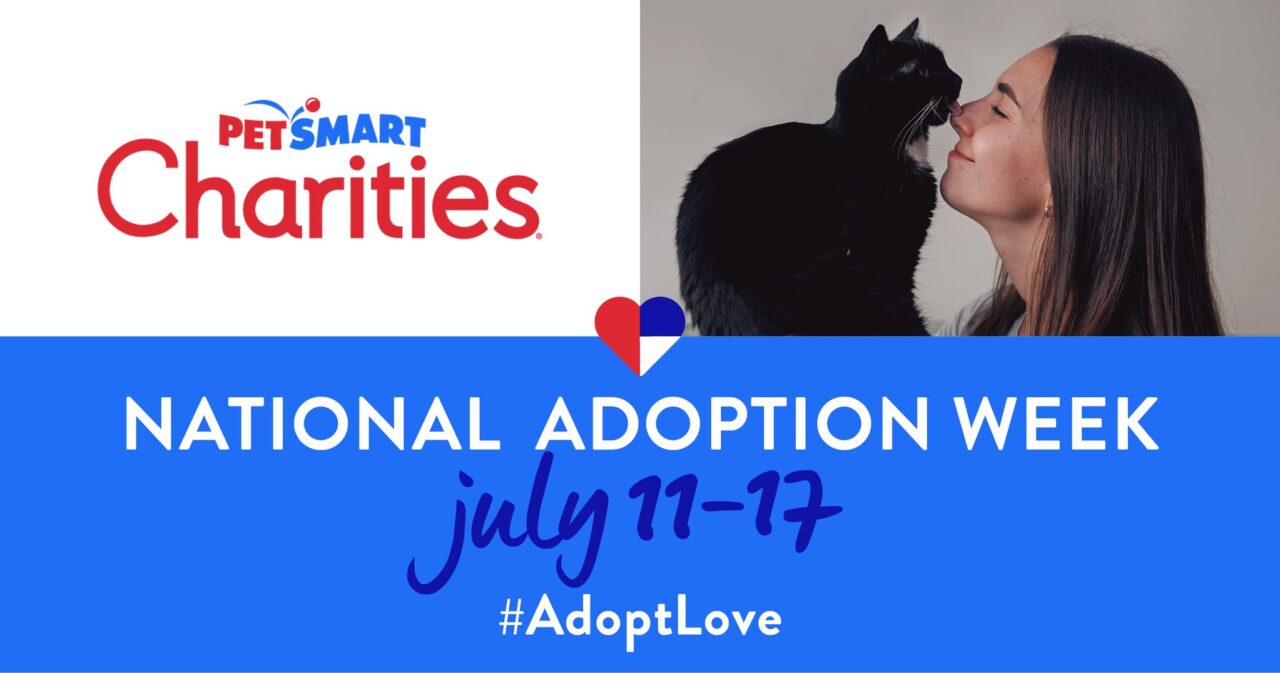 Pet Adoptions at PetSmart Grand Parkway Operation Pets Alive