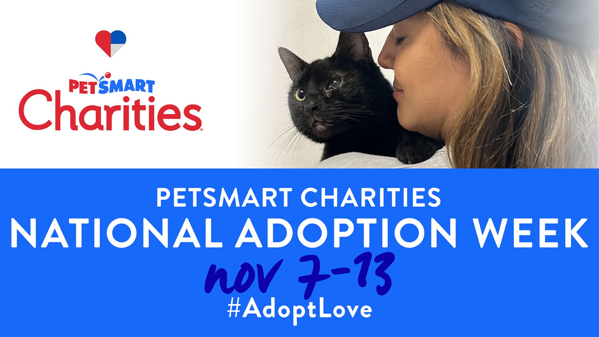 PetSmart Montgomery Plaza Special Adoption Event