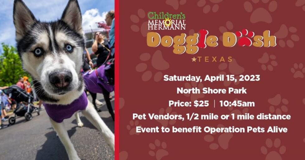 Ironman Doggie Dash Operation Pets Alive