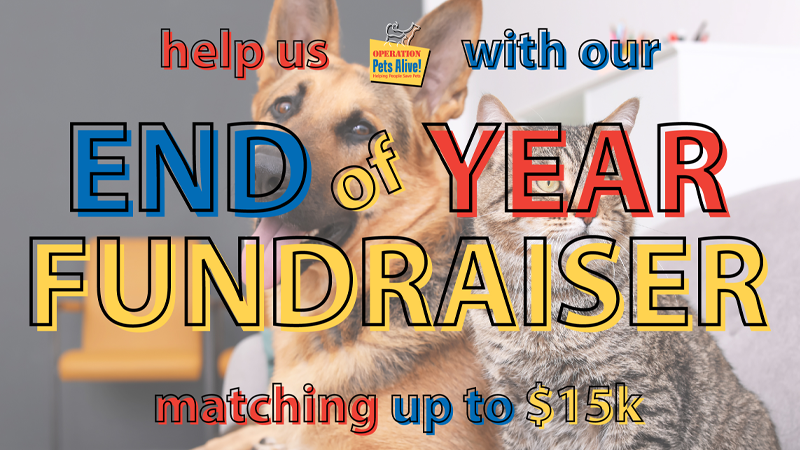 End of Year Fundraiser