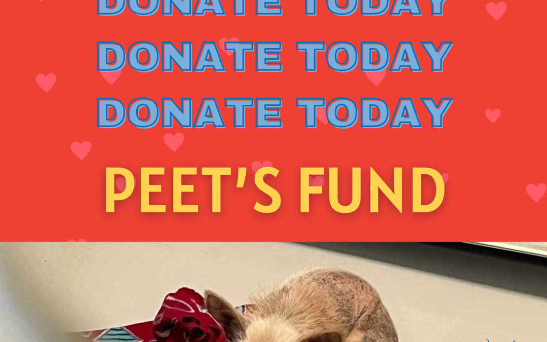 Peet’s Fund