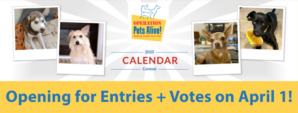Dog Calendar Contest in Support of Operation Pets Alive Operation
