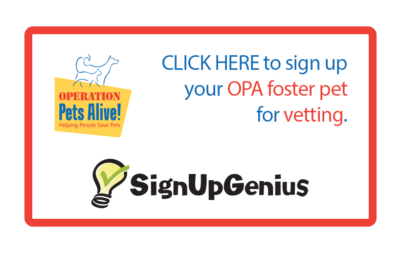 Sign up Genius image for vetting