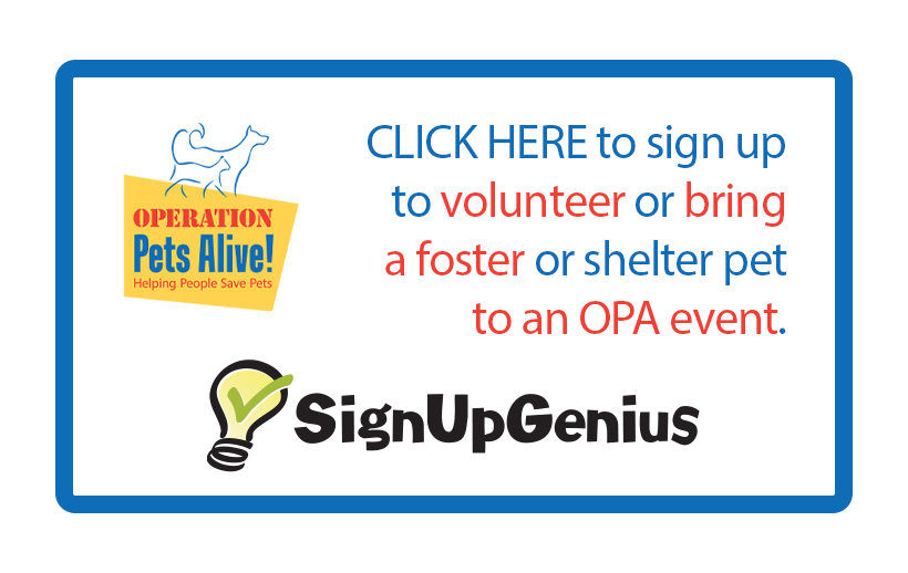 Sign up Genius image for volunteering