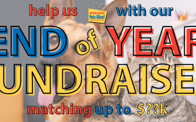 EOY Matching Fundraiser
