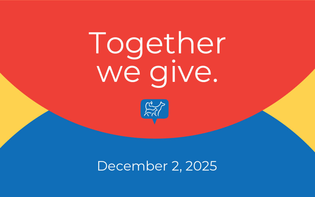 GivingTuesday: Save the Date!