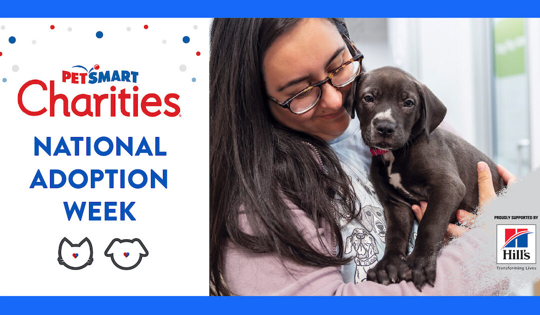 OPERATION PETS ALIVE ENCOURAGES ADOPTING A NEW BEST FRIEND DURING PETSMART CHARITIES NATIONAL ADOPTION WEEK 